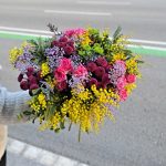 fleurs-mimosa-barcelone