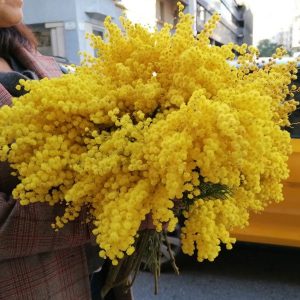 ramo-flores-mimosa-barcelona