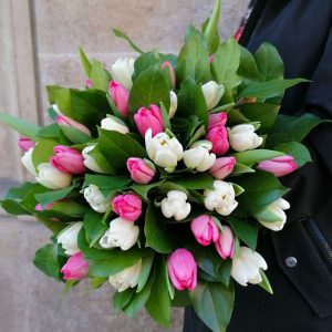 tulipe-rose-blanc