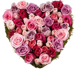 roses pour la Saint Valentin