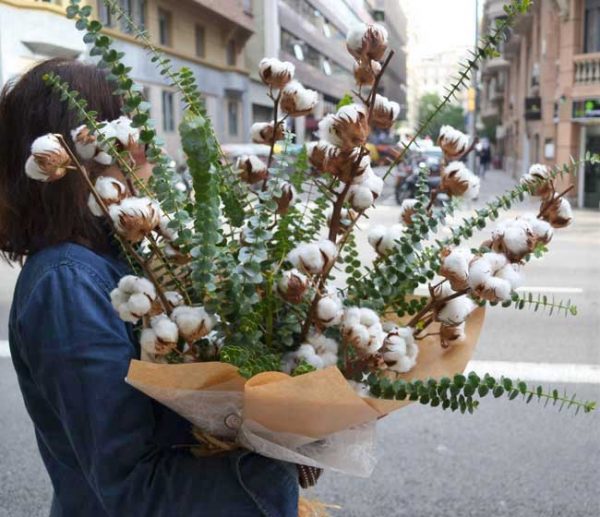 fleurs-cotton-barcelone