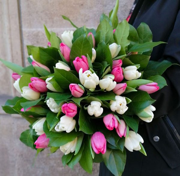 tulipe-rose-blanc